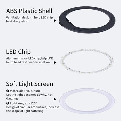 12" ring light